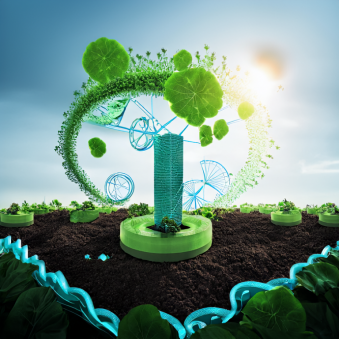Why Sustainability Drives the Global Enzyme Market